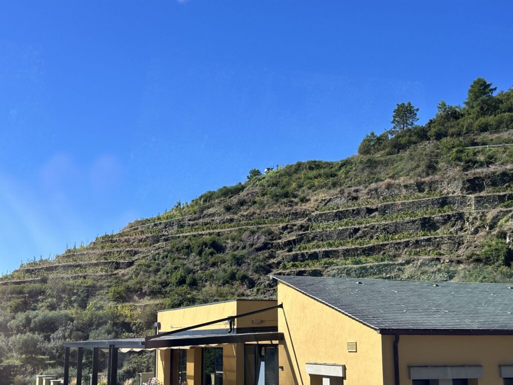 29 - CENTINA5TERRE -