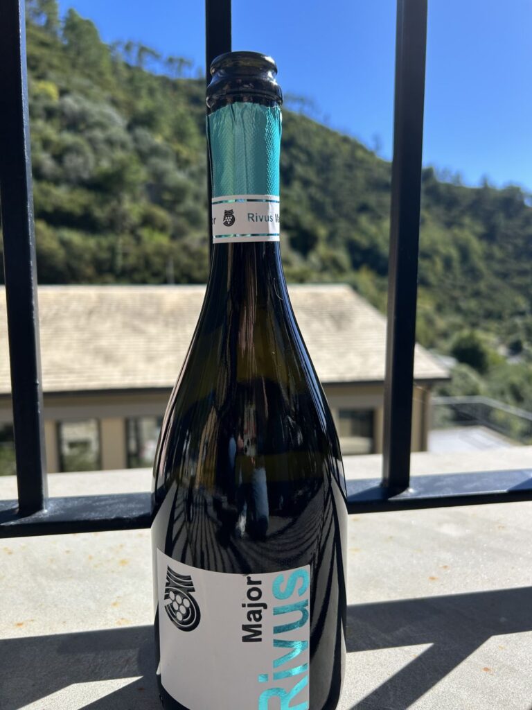 46 - CANTINA5TERRE - VINI