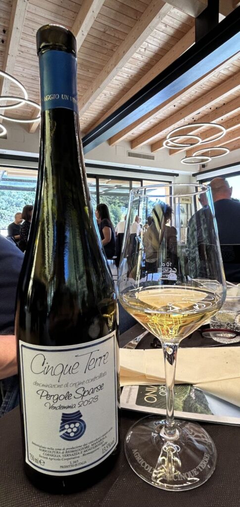 47 - CANTINA5TERRE - VINI