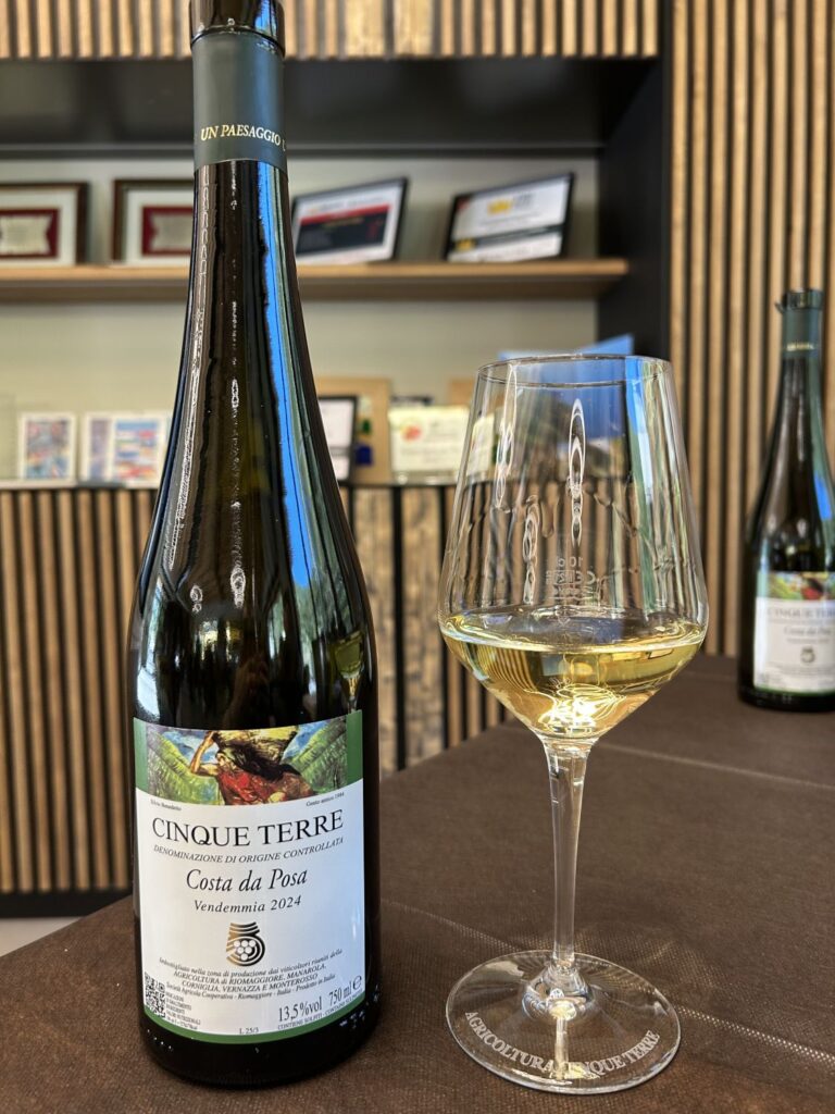 48 - CANTINA5TERRE - VINI