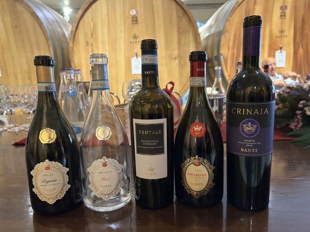 50 SANTI - I VINI