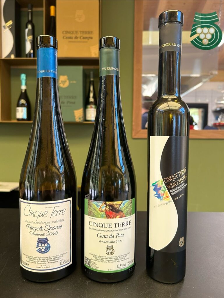 52 - CANTINA5TERRE - VINI
