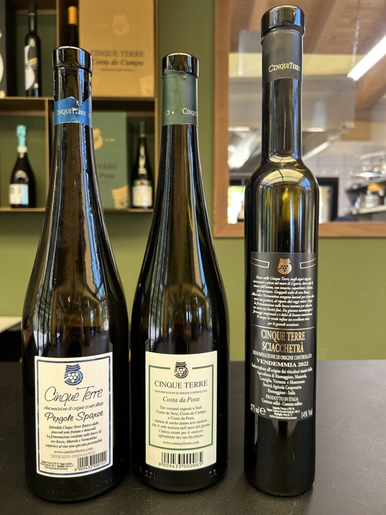 53 - CANTINA5TERRE - VINI