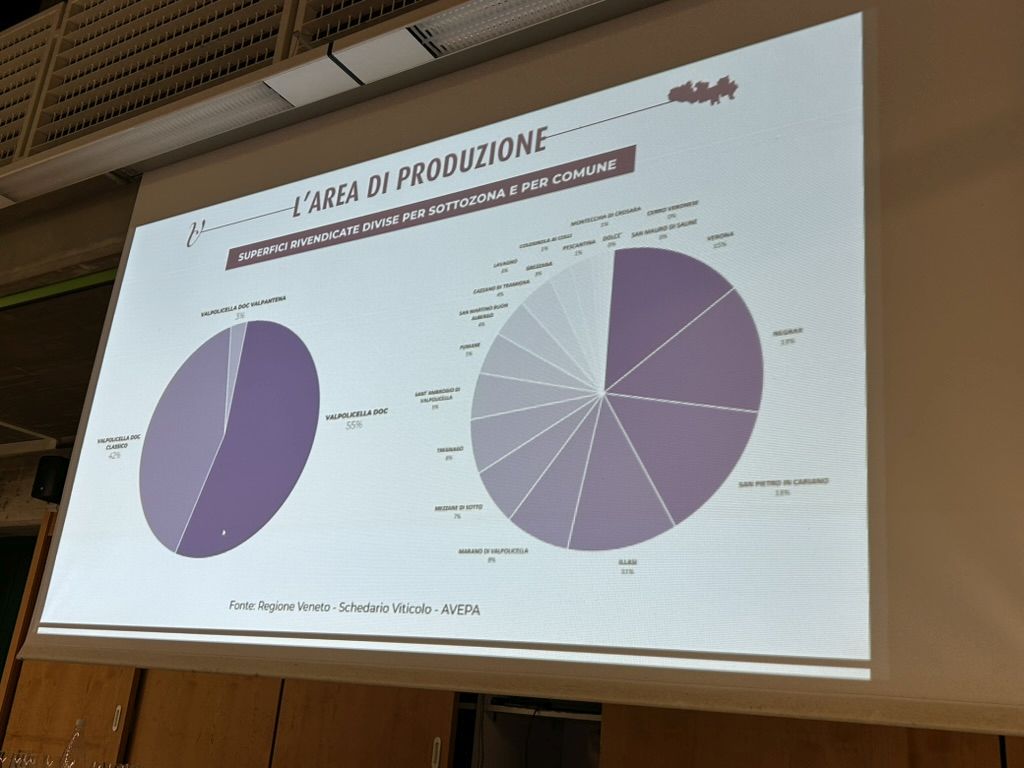 07 AMARONI - PRESENTAZIONE