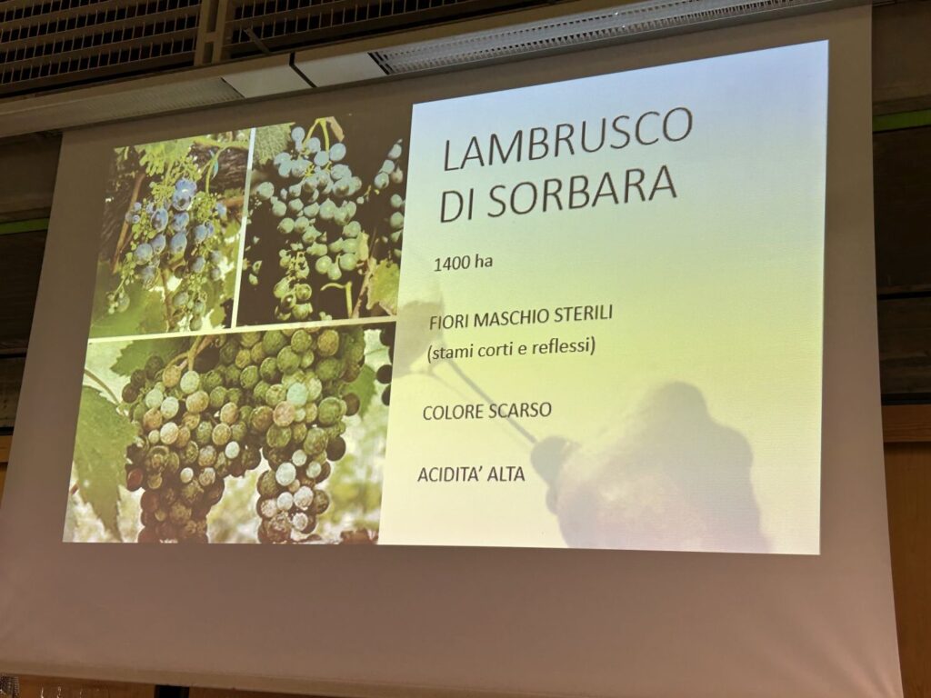 07 RIUNITE - PRESENTAZIONE