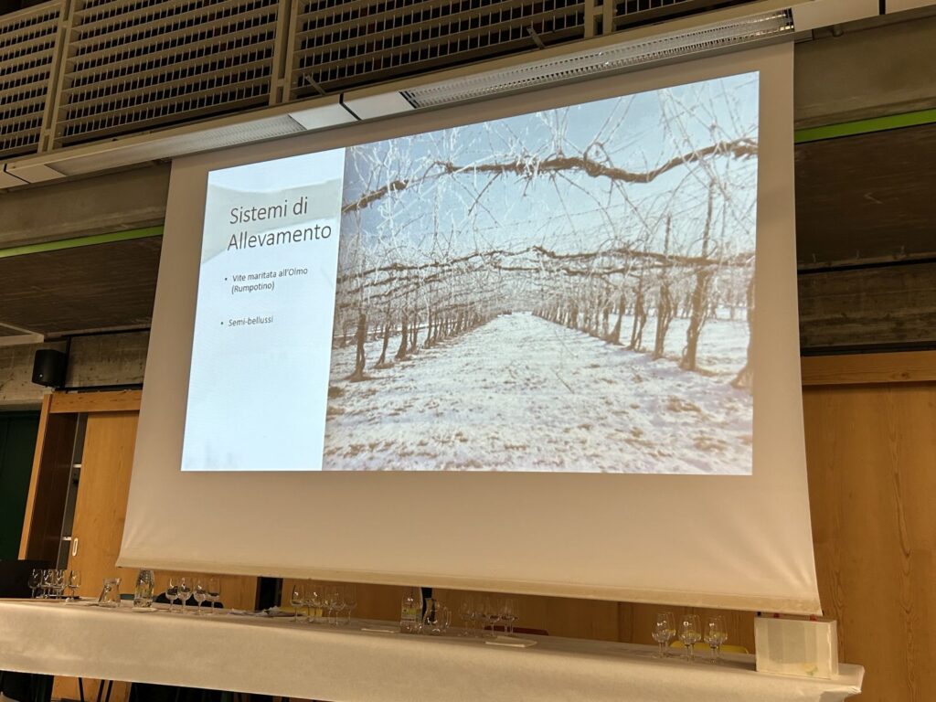 08 RIUNITE - PRESENTAZIONE