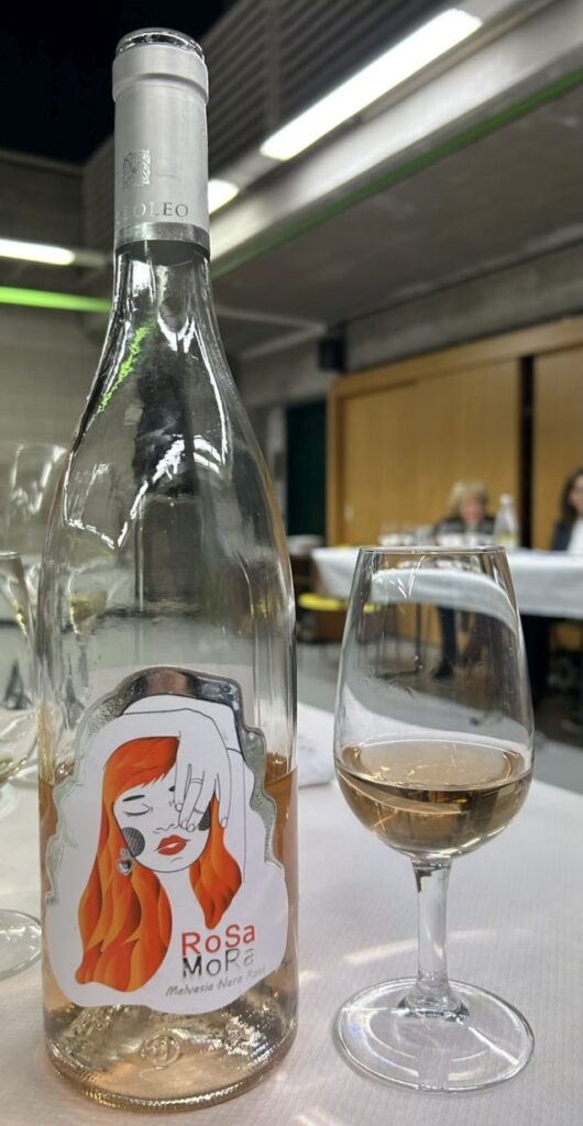 14 PAOLOLEO - I VINI
