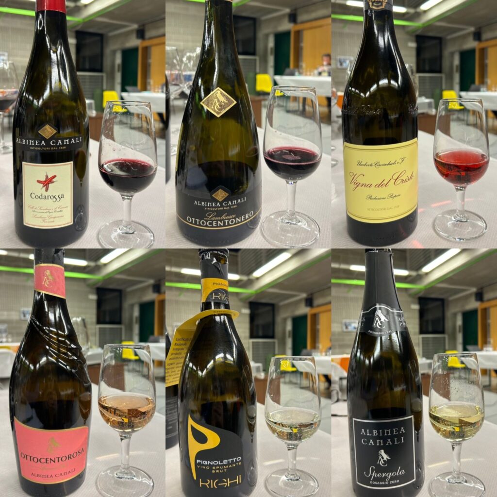 19 RIUNITE - I VINI
