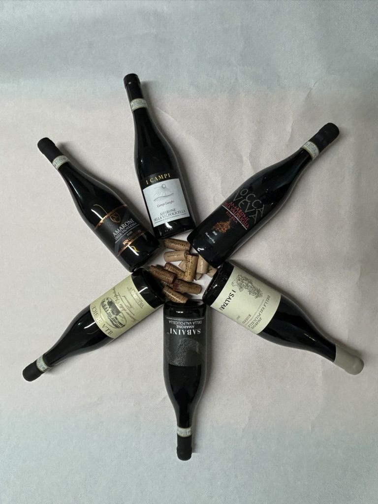20 AMARONI - I VINI