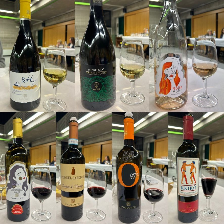 21 PAOLOLEO - I VINI