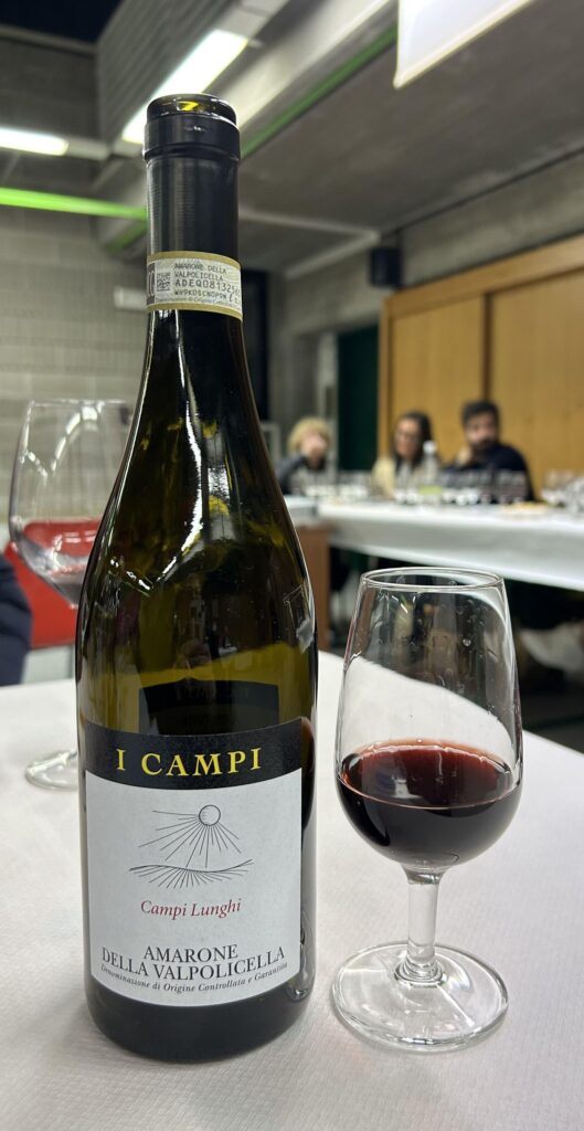 24 AMARONI - I CAMPI