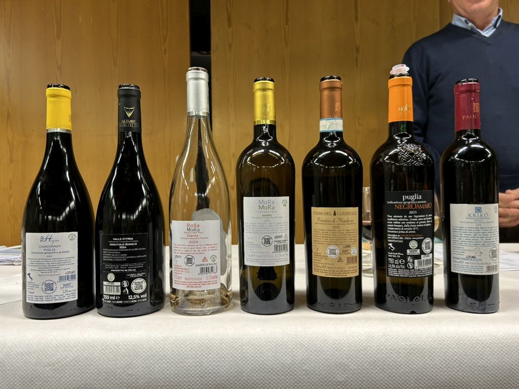 26 PAOLOLEO - I VINI