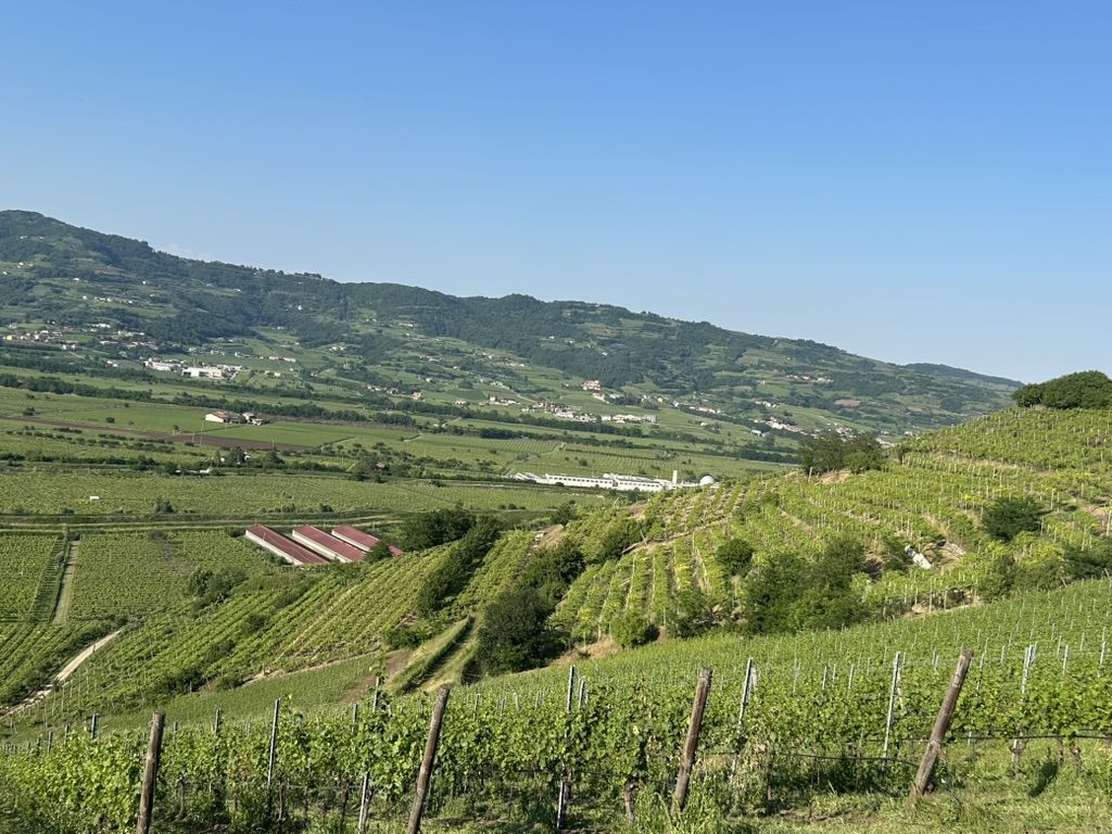 02 CA' RUGATE - VIGNETO