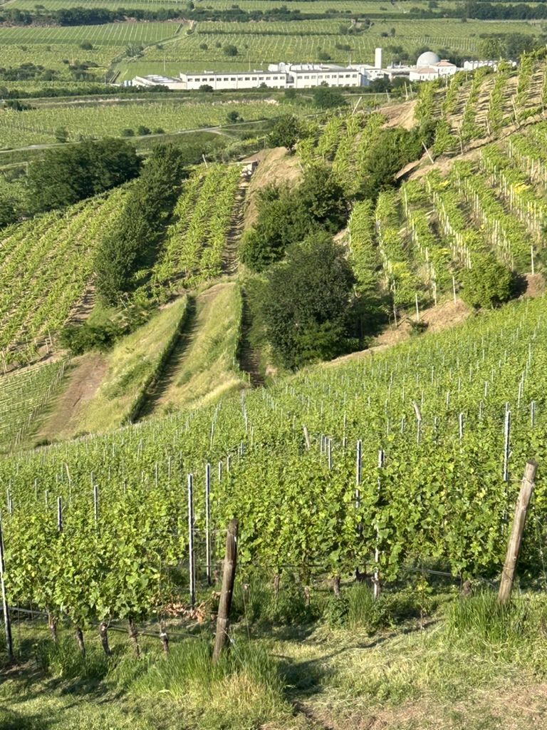 06 CA' RUGATE - PRESENTAZIONE