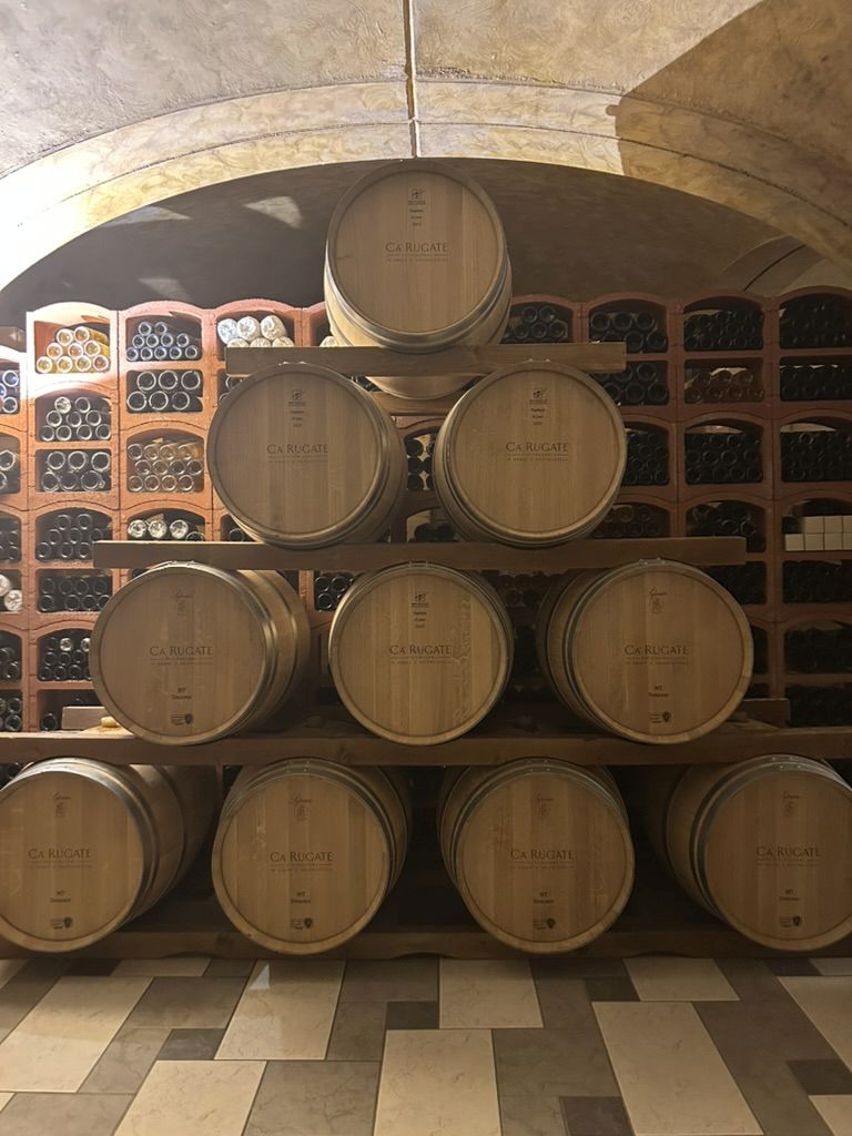 11 CA' RUGATE - CANTINA