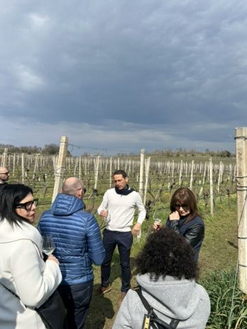 14 VENCIU - VIGNETO