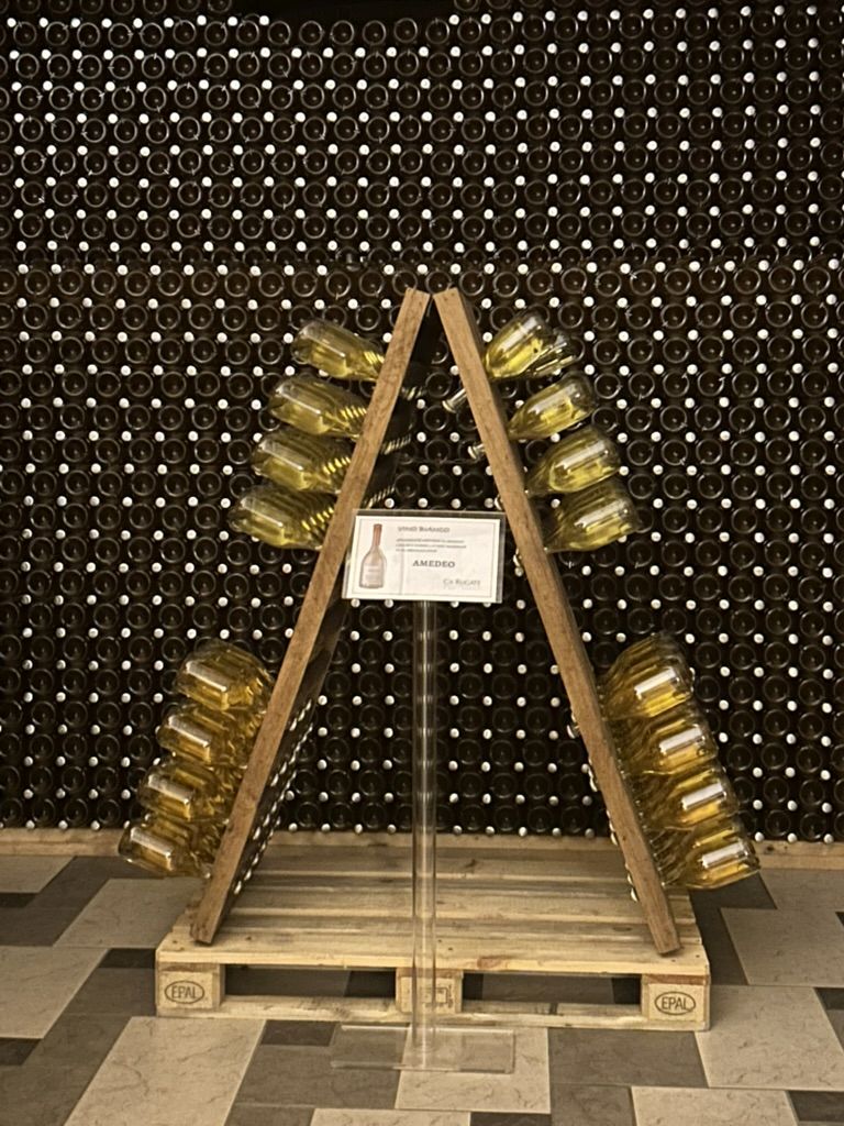 15 CA' RUGATE - CANTINA