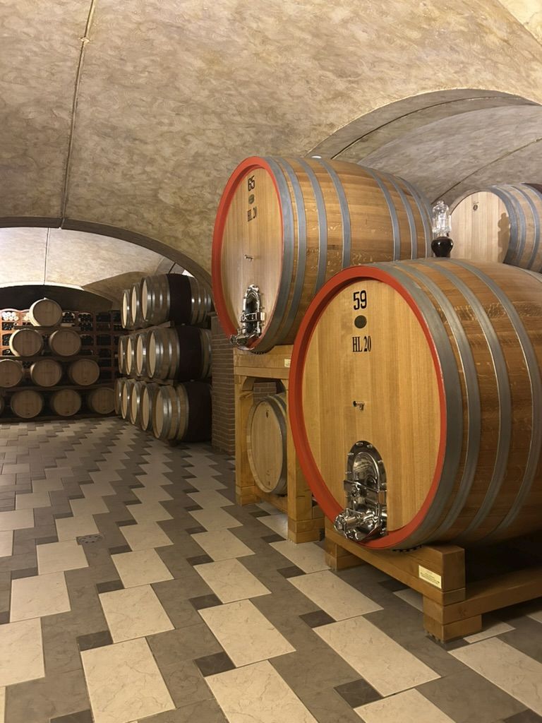 16 CA' RUGATE - CANTINA