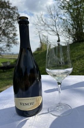 23 VENCIU - VINI