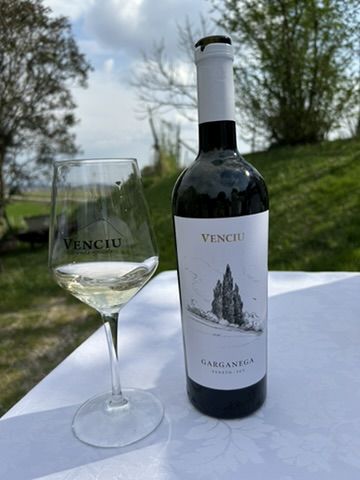24 VENCIU - VINI