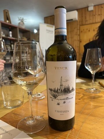 25 VENCIU - VINI