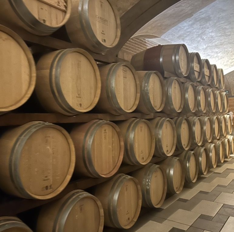 31 CA' RUGATE - CANTINA