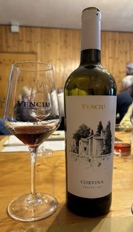 32 VENCIU - VINI