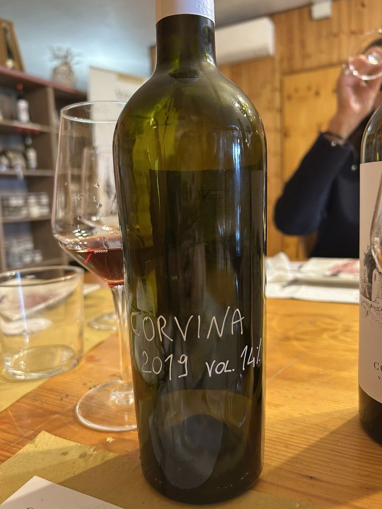 33 VENCIU - VINI