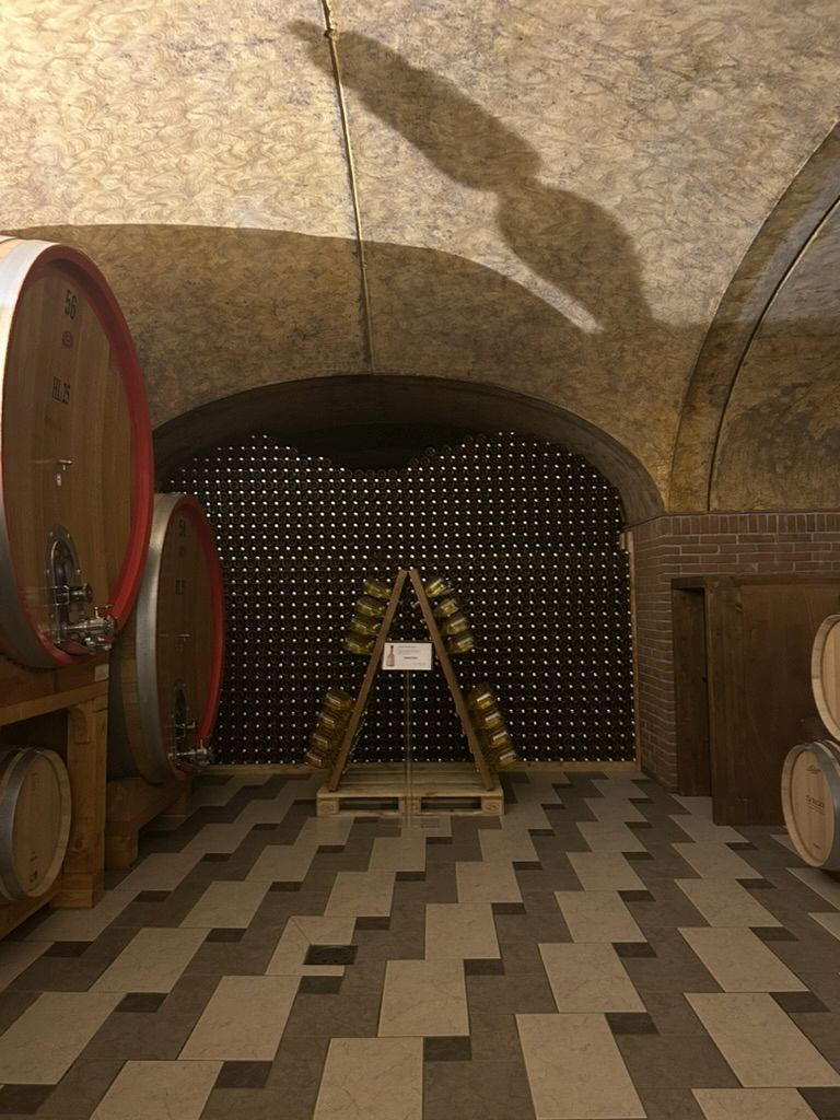 35 CA' RUGATE - CANTINA