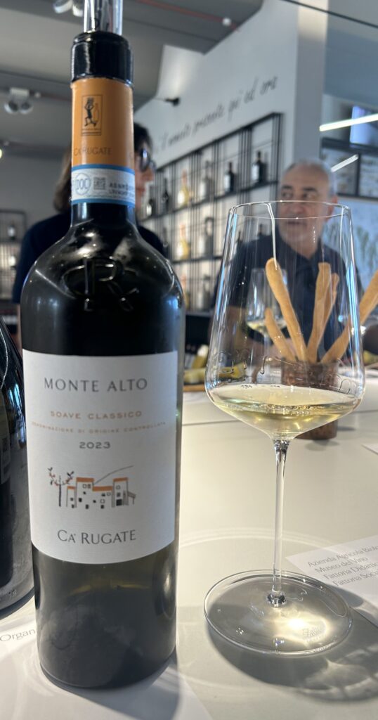 53 CA' RUGATE - VINI