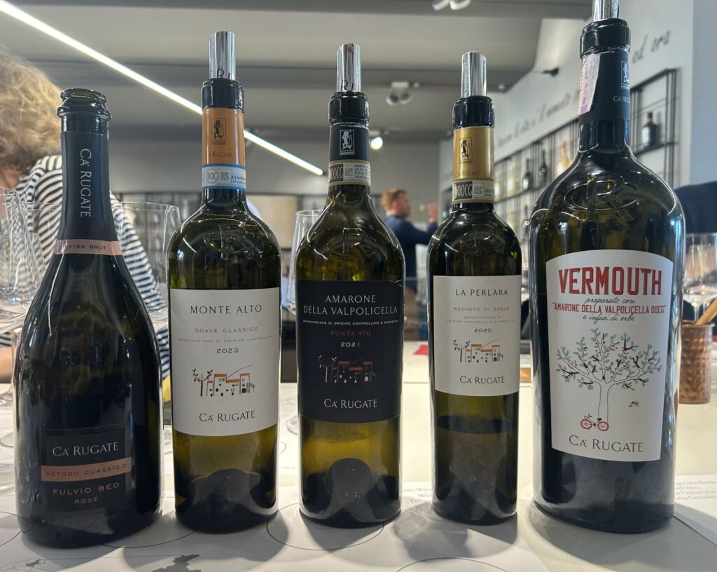 57 CA' RUGATE - VINI
