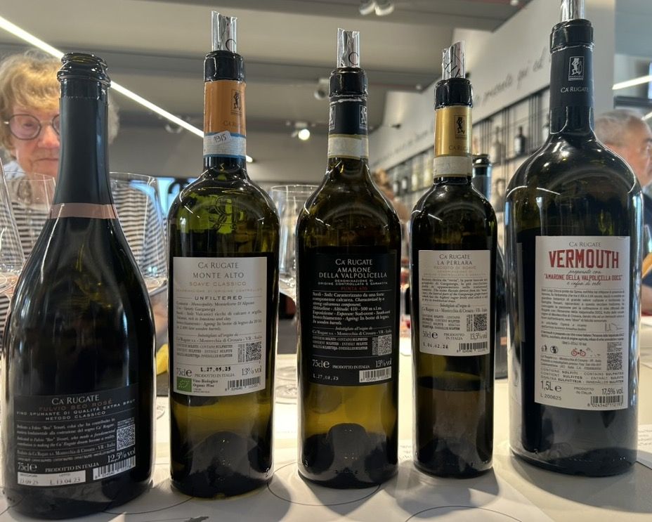 58 CA' RUGATE - VINI